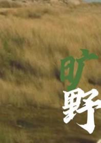 旷野的声音