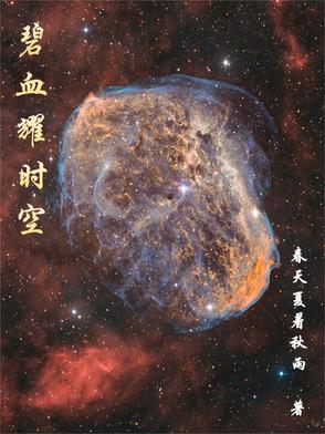 1980碧血长空完整国语