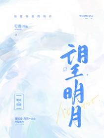 望明月