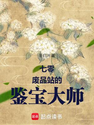 七零废品站的鉴宝大师